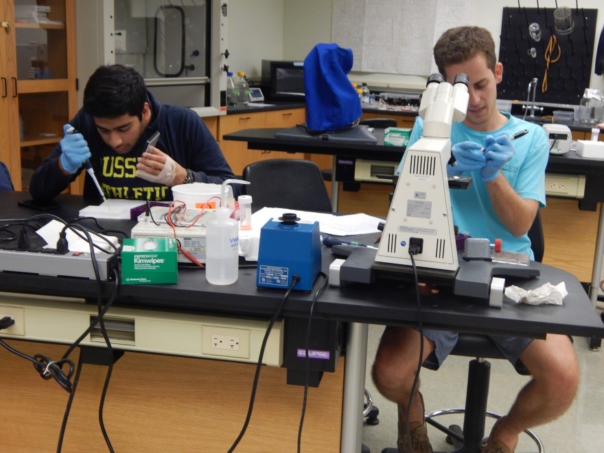 Sharjeel Qureshi and Sean McKnight analyzing data collected from their lab research project experiment